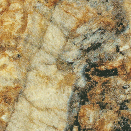 f3465.jpg