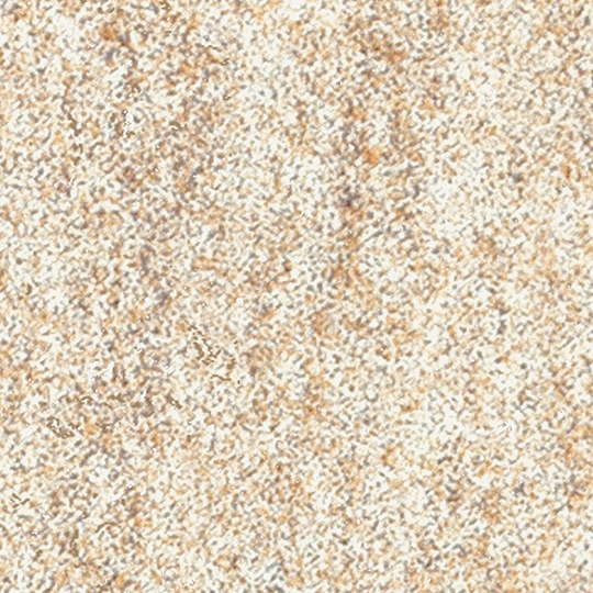 f6699.jpg
